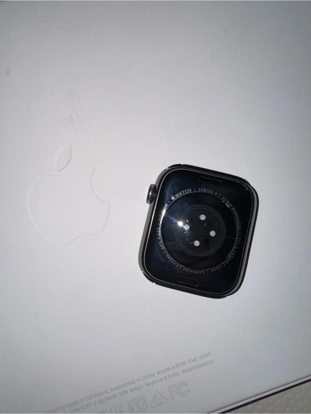 Apple Watch Series 9 45MM Stainless Steel